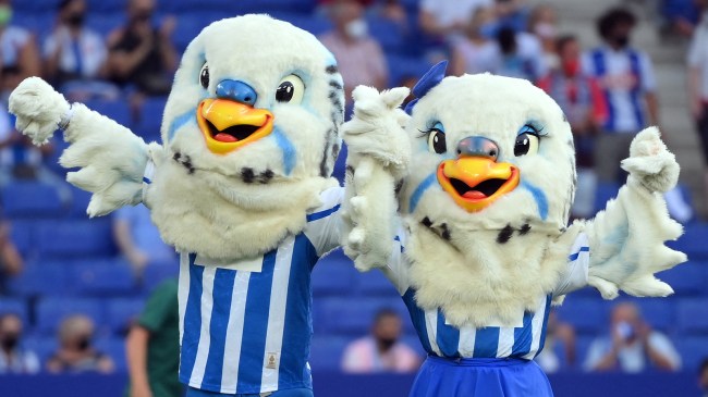 Espanyol soccer team parakeet mascots