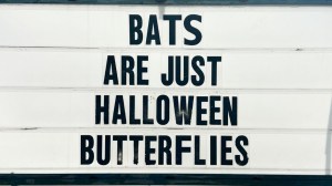 best El Arroyo sign meme hilarious Halloween butterflies joke