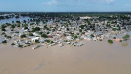 Zoo Animals Take To Nigerian Streets After Flooding Forced Them To Be Let Go (Videos)