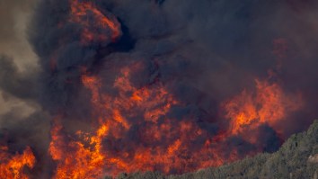 Snow Cannons Saved California Ski Resort As Massive Bridge Fire Engulfed It In Flames