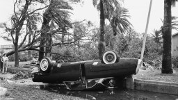 63 Years Ago A Texas Hurricane Flooded Towns With Thousands Of Venomous Snakes