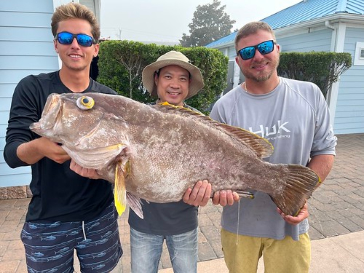 Maryland state fishing record for Yellowedge Grouper