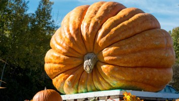 Dropping A 1,000-Pound Pumpkin 200 Feet From The Air To Smash A Car Is Peak Halloween In The USA