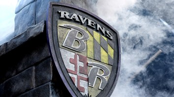 Ravens Fan Wanted For Assaults On Commanders Fans Turns Himself In To Police