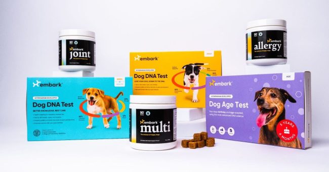 Embark DNA