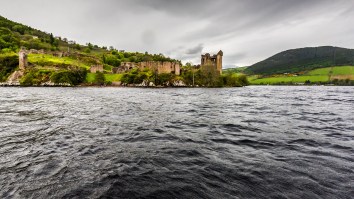 Advanced Sonar Picks Up Another ‘Monstrous Disturbance’ In The Waters Of Loch Ness