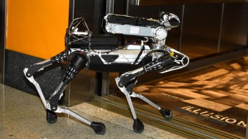 Los Angeles Police Department Adds Robot Dog To Force, Terrifying Citizens