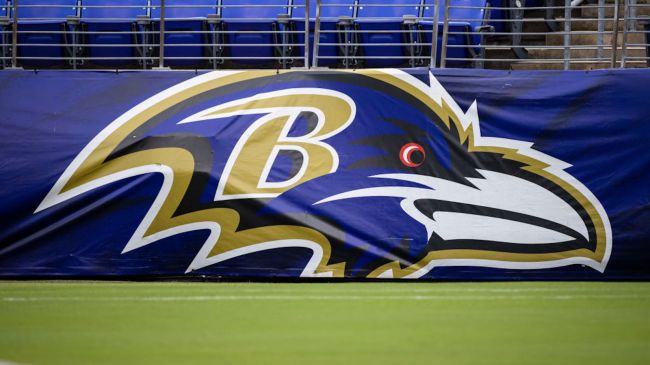 baltimore ravens logo