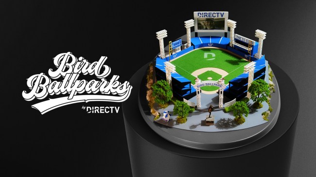 The Randy Johnson Bird Ballparks made from DirecTV Satillete Dishes