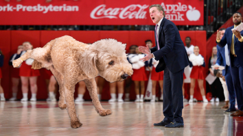 Rick Pitino’s Dog Peed All Over St. John’s Basketball Court After Drawing Inspiration From Kirk Herbstreit