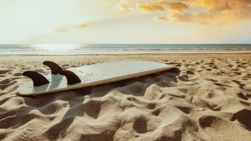 Italian Surfer Lost Her Life After Being Stabbed In The Chest By A Fish In Indonesia