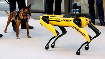 Secret Service Robot Dogs Are Now Patrolling Mar-A-Lago Following Donald Trump’s Win