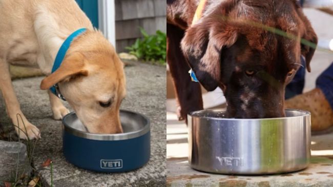 YETI dog bowls in gift guide for dog lovers