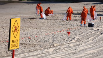 Testing Reveals Mysterious Balls That Washed Up On Sydney Beach Made Of Absolutely Heinous Human Waste Mixture