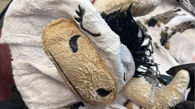 cow costume used to smuggle meth