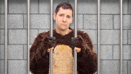 California Scammers Hit With Jail Time Over Bizarre Car Insurance Scheme Involving A Man In A Bear Suit
