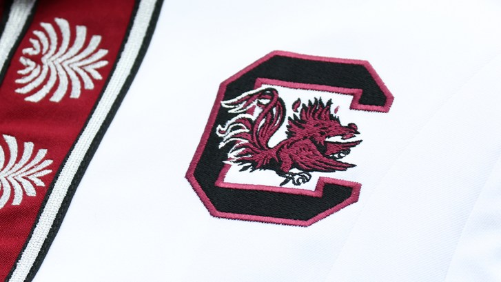 South Carolina football logo