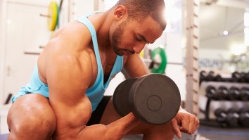 Skipping The Gym Lately? New Scientific Evidence Suggests Your Muscle Memory Will Bring Back Lost Gains Quickly