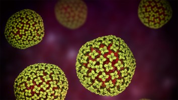 Hundreds Of Vials Of Potentially Deadly Viruses Have Gone Missing In Australia