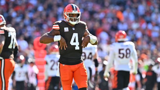 deshaun watson celebrating