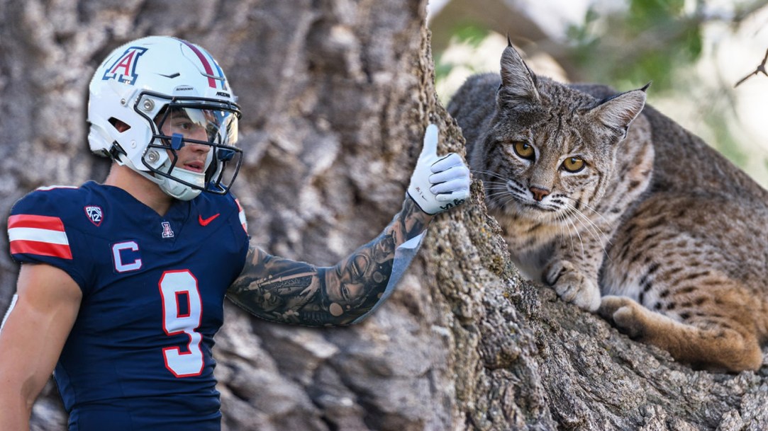 Gunner Maldonado College Football Transfer Wildcats