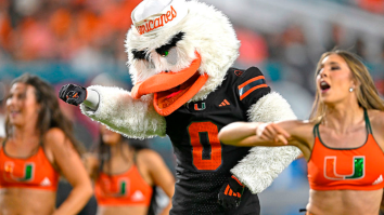 Miami Mascot Reacts To Reporter Accusing Him Of Hitting On Her During Game