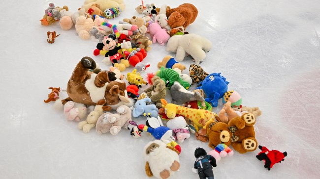 Stuffed animals on ice after Teddy Bear Toss