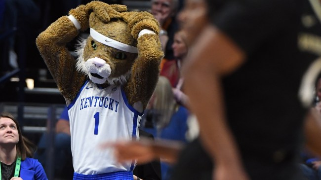 The Kentucky Wildcats mascot reacts during a basketball game vs. Vanderbilt.