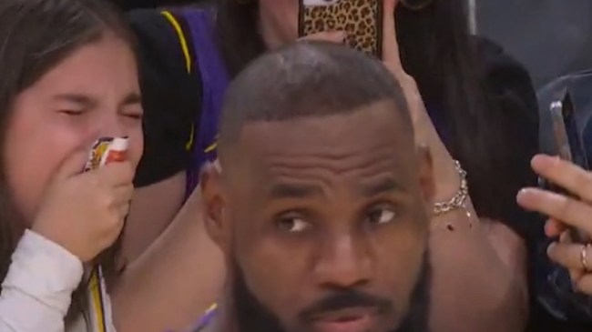During the Los Angeles Lakers 117-108 win over the Miami Heat on Wednesday night, a young girl sitting courtside, about pre-teen age, went viral after being caught on camera melting down at the sight of LeBron James.