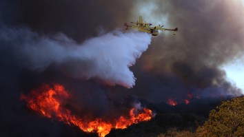 Civilian Drone Damages Super Scooper Airplane Fighting LA Fires, Outraging Angelenos and Grounding Vital Aircraft