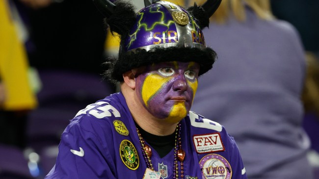 Vikings fan