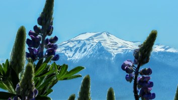 Volcano Near Alaska’s Largest City Showing Strong Signs Of Erupting