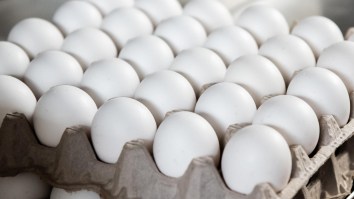 Pennsylvania Thieves Steal 100,000 Eggs Worth $40K As Prices Continue To Rise