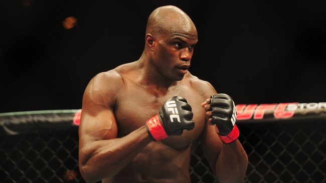 Cheick Kongo