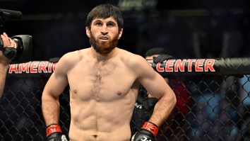 Ex-UFC Star Says Company Is Rooting For Alex Pereira To Beat Magomed Ankalaev At UFC 313