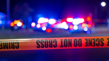 Florida Sheriff’s Detectives Seize Enough Fentanyl ‘To Kill Over 6 Million People’