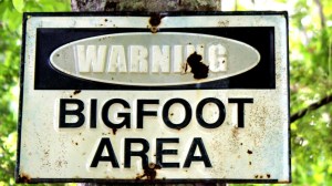 Warning Bigfoot Area Sign