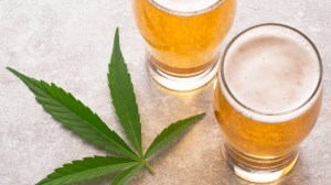 beer and marijuana