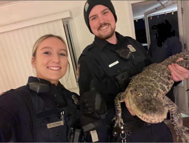 Cheboygan police officers holding alligator