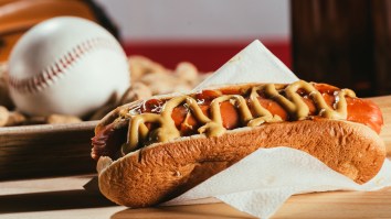 Michigan Summer League Baseball Team Unveils Horrifying Hot Dog Aptly Dubbed The ‘Skat Dog’