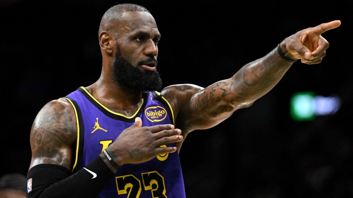 LeBron James on the Lakers