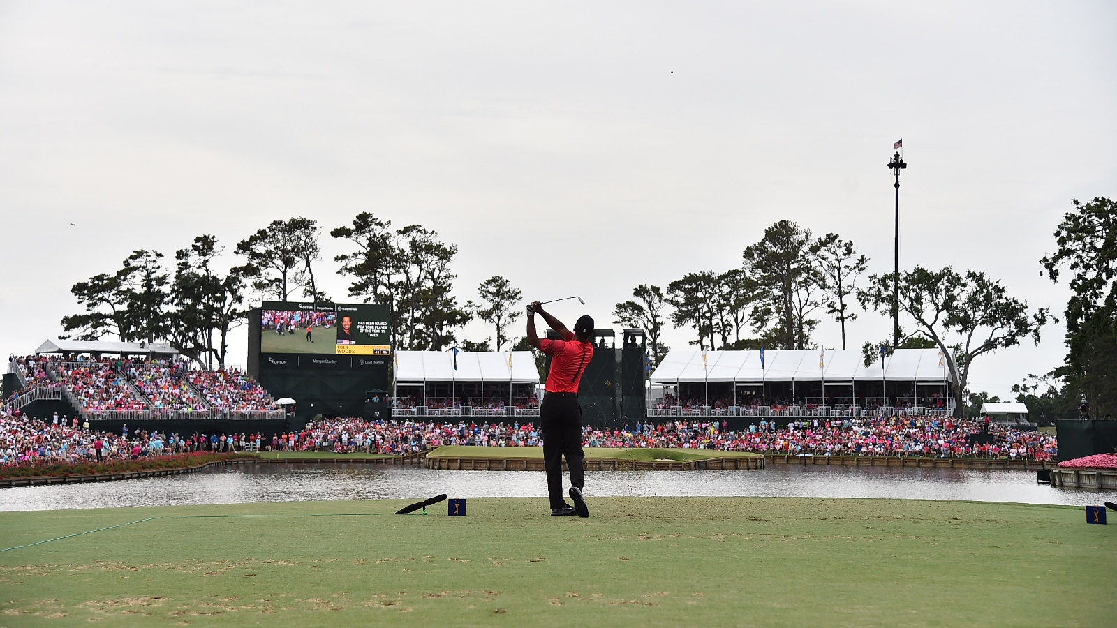 Tiger Woods on the tee at TPC Sawgrass 17th hole island green