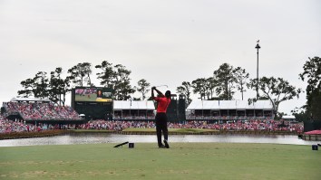 Florida Diver Who Pulls Golf Balls Out Of TPC Sawgrass’ 17th Hole Reveals Absolute Treasure Trove He’s Found