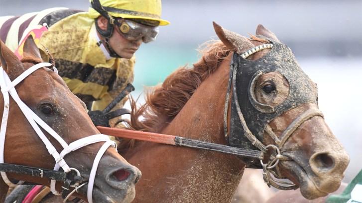 Country House at 2019 Kentucky Derby