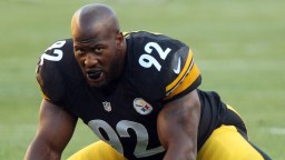 Former Pittsburgh Steelers Star James Harrison Saved A Fan’s Life By Slamming Him To The Turf