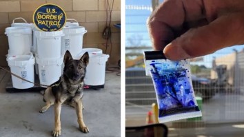 California Border Agents Bust Trucker Hauling 761 Pounds Of Liquid Meth Hidden In Fuel Tanks