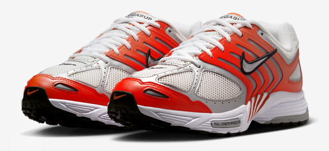 Air Pegasus 2005 Shoes