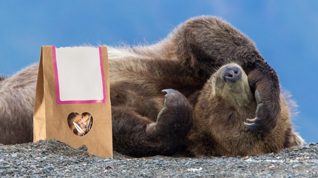 bear-with-bag-of-cookies