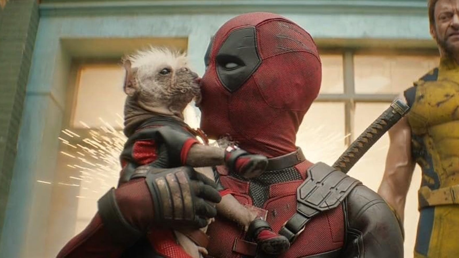 deadpool and wolverine dog