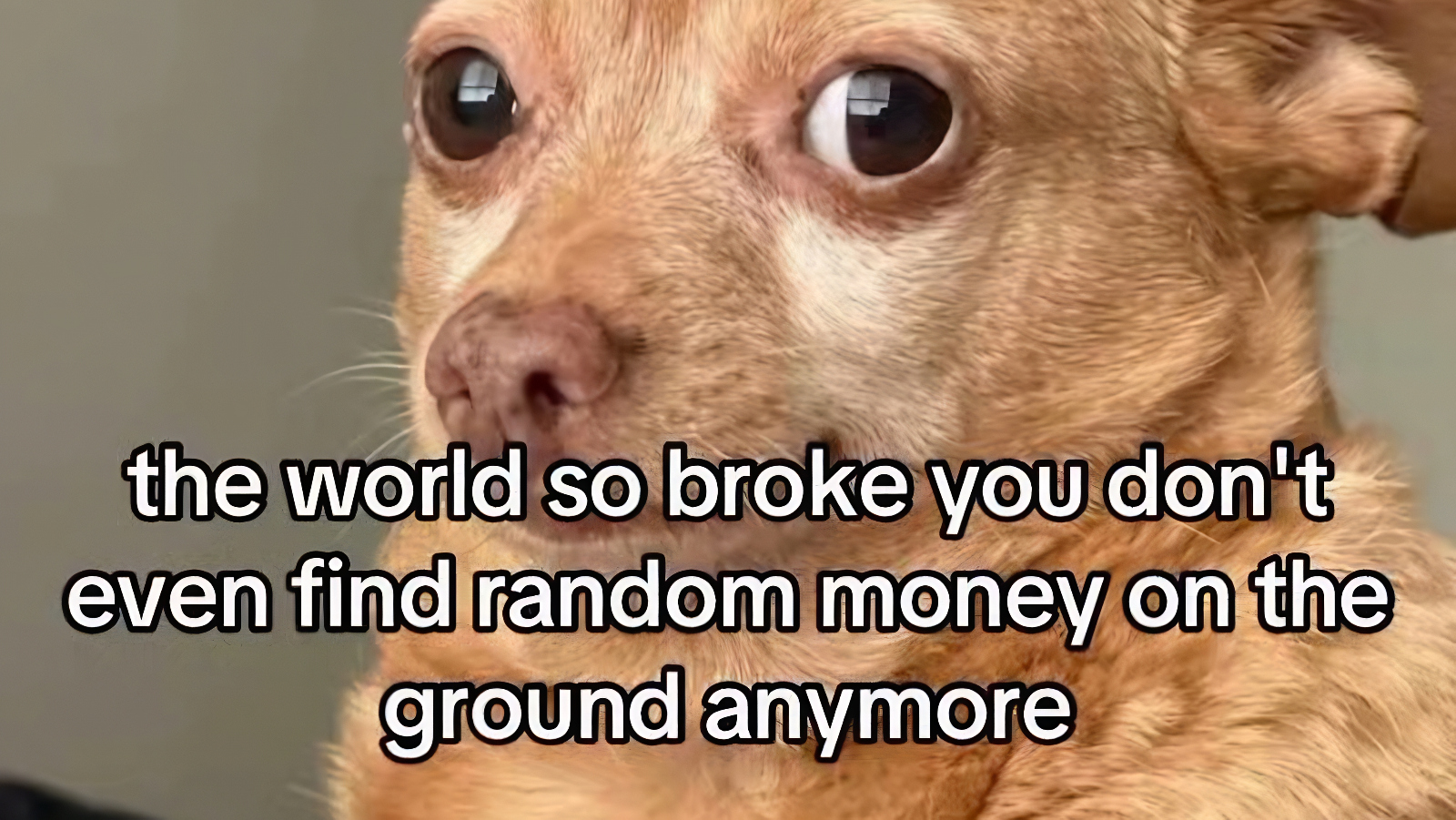 51 Best Memes Today Thursday's Funniest New Memes